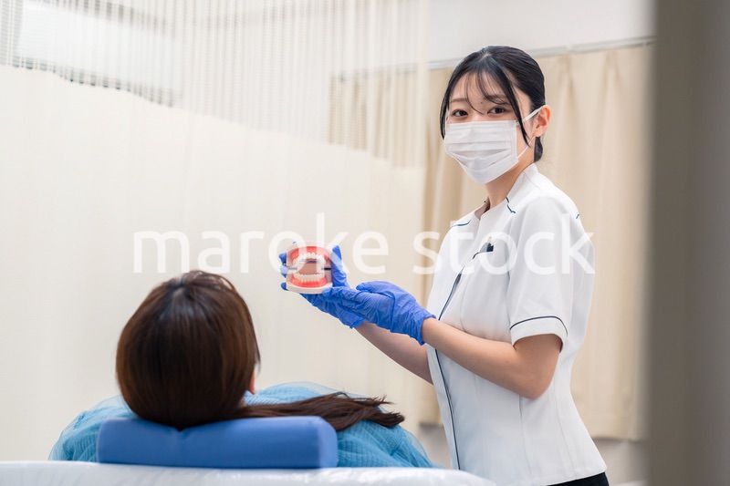 歯の模型を使って患者に説明をする歯科助手の女性