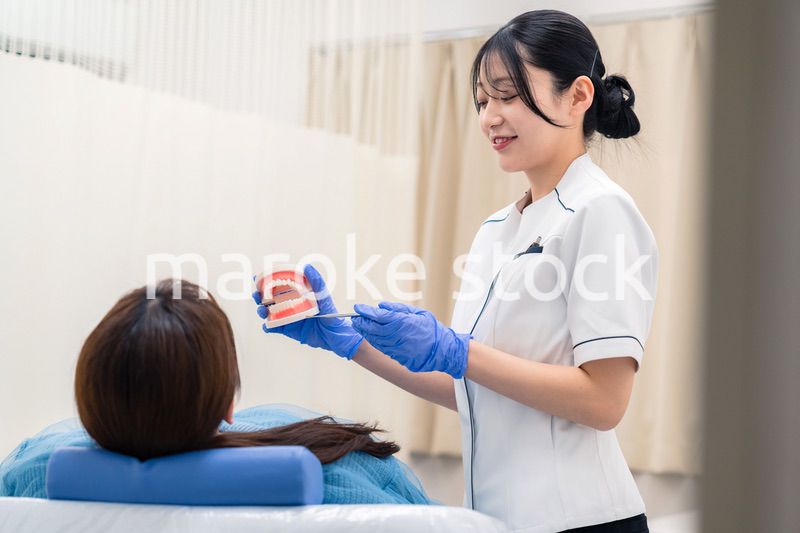 歯の模型を使って患者に説明をする歯科助手の女性