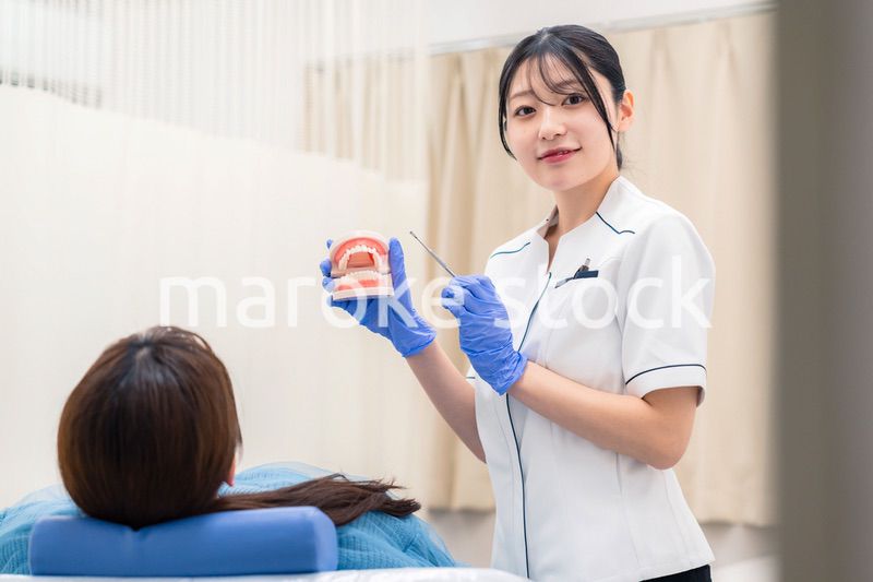 歯の模型を使って患者に説明をする歯科助手の女性