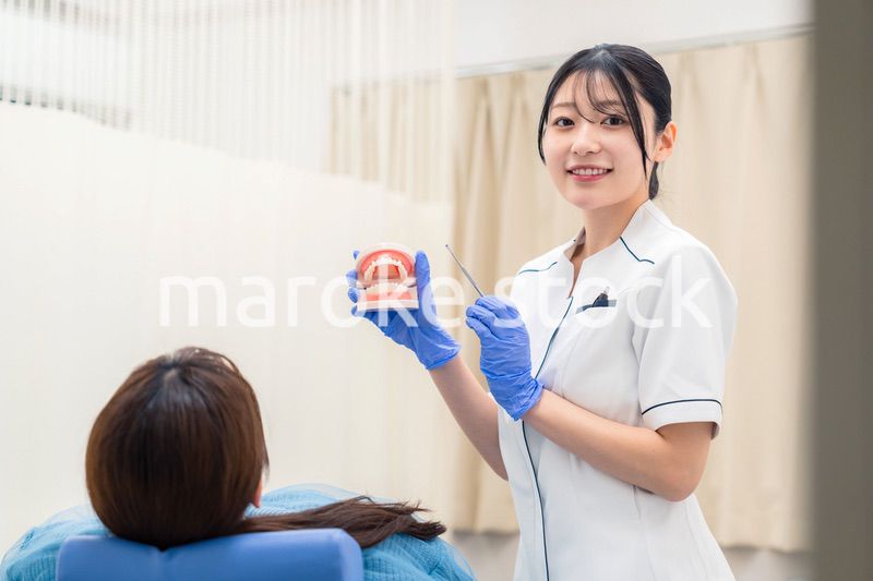 歯の模型を使って患者に説明をする歯科助手の女性