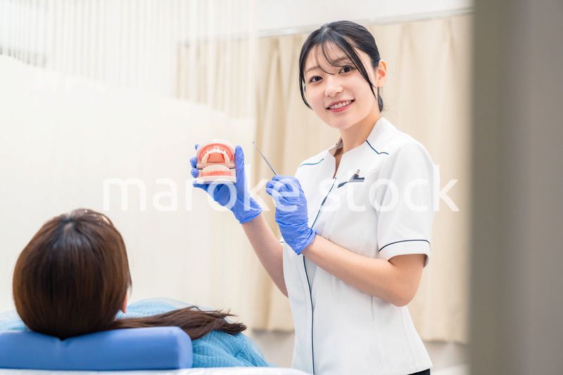 歯の模型を使って患者に説明をする歯科助手の女性