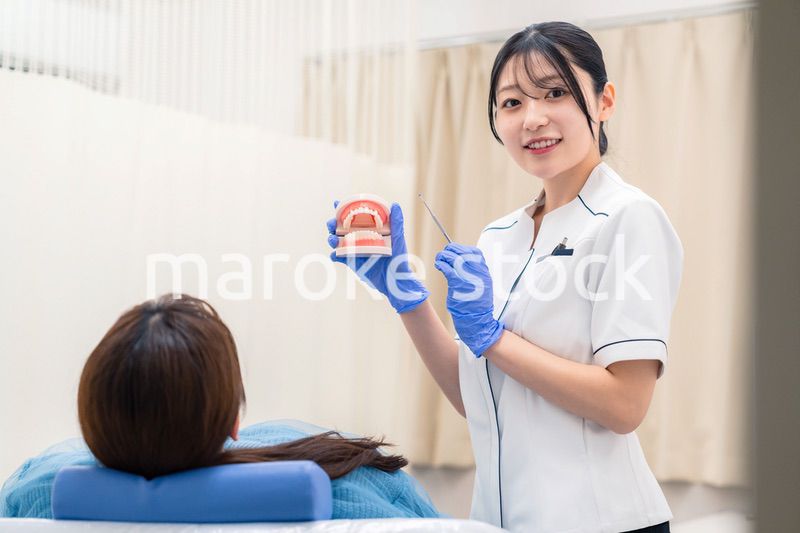 歯の模型を使って患者に説明をする歯科助手の女性