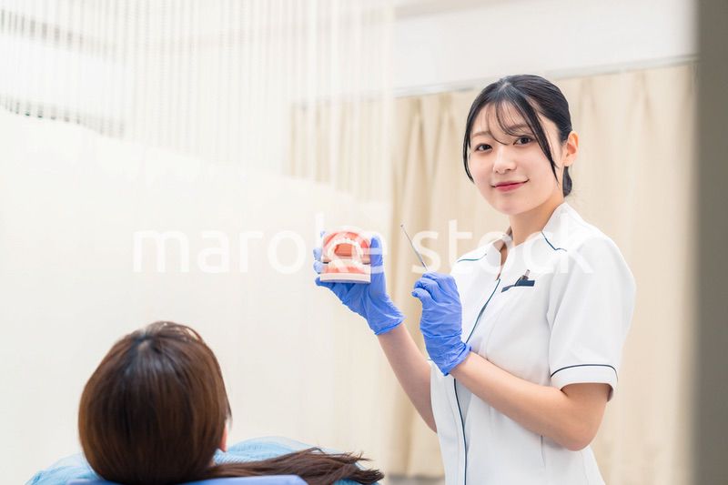 歯の模型を使って患者に説明をする歯科助手の女性