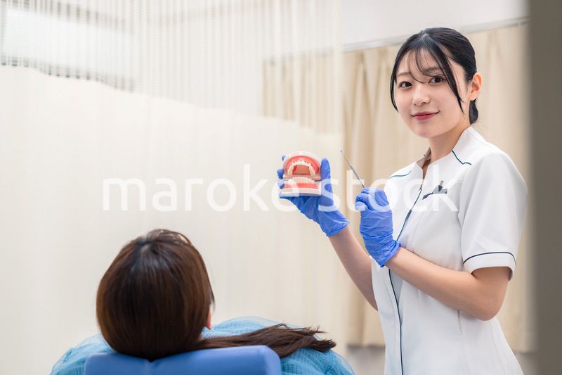 歯の模型を使って患者に説明をする歯科助手の女性