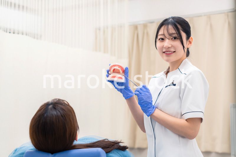 歯の模型を使って患者に説明をする歯科助手の女性