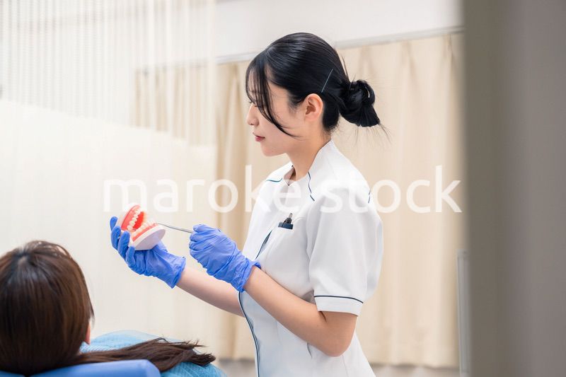 歯の模型を使って患者に説明をする歯科助手の女性