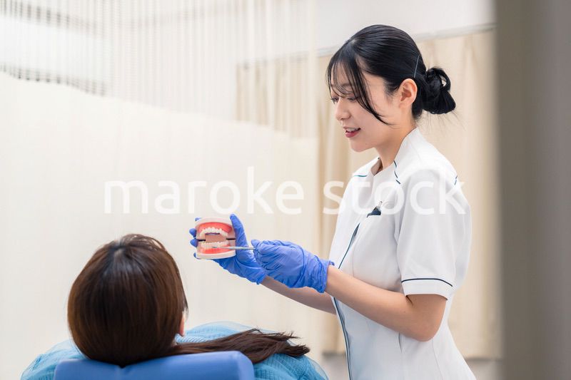 歯の模型を使って患者に説明をする歯科助手の女性