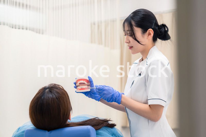 歯の模型を使って患者に説明をする歯科助手の女性