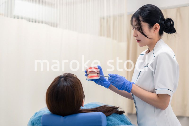 歯の模型を使って患者に説明をする歯科助手の女性