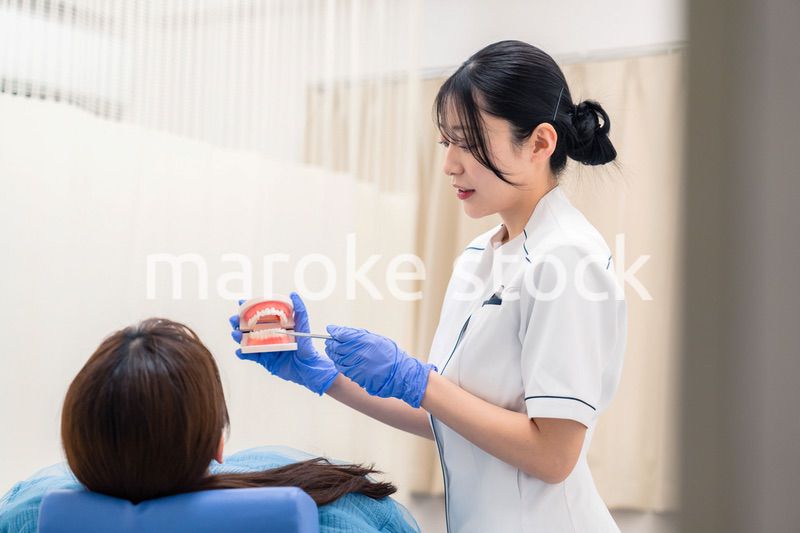 歯の模型を使って患者に説明をする歯科助手の女性