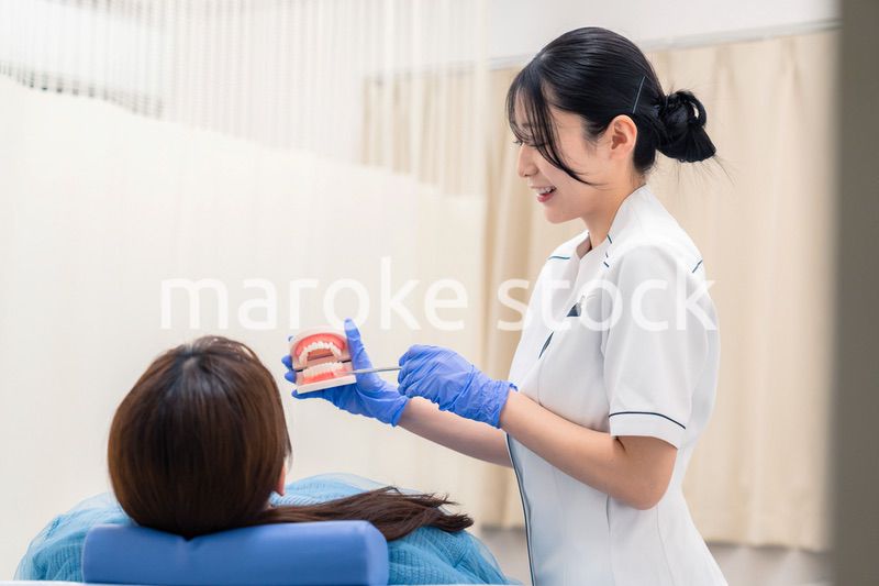 歯の模型を使って患者に説明をする歯科助手の女性