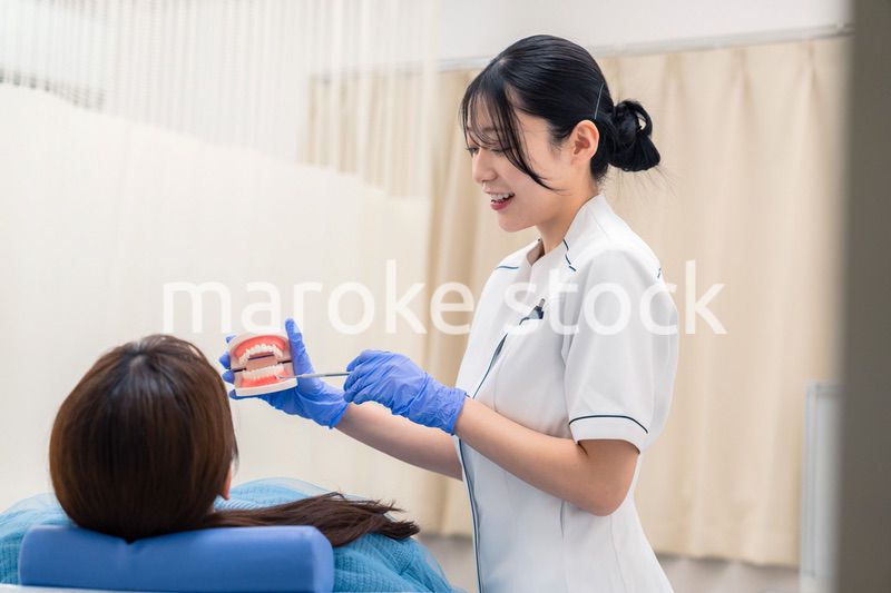歯の模型を使って患者に説明をする歯科助手の女性