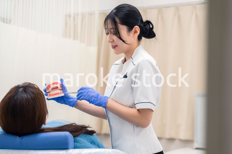 歯の模型を使って患者に説明をする歯科助手の女性