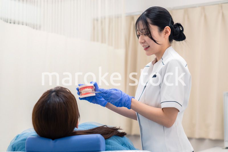 歯の模型を使って患者に説明をする歯科助手の女性