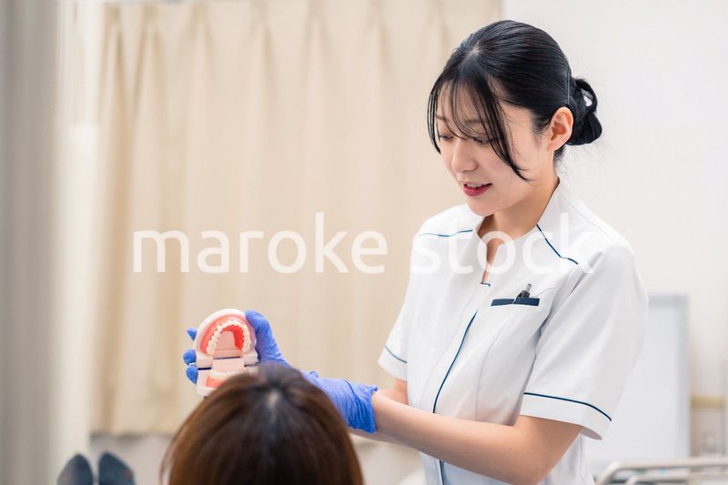 歯の模型を使って患者に説明をする歯科助手の女性