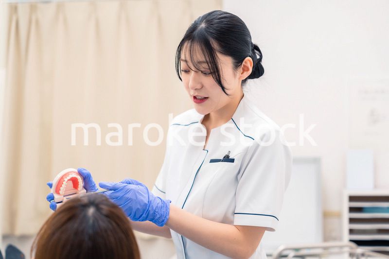 歯の模型を使って患者に説明をする歯科助手の女性