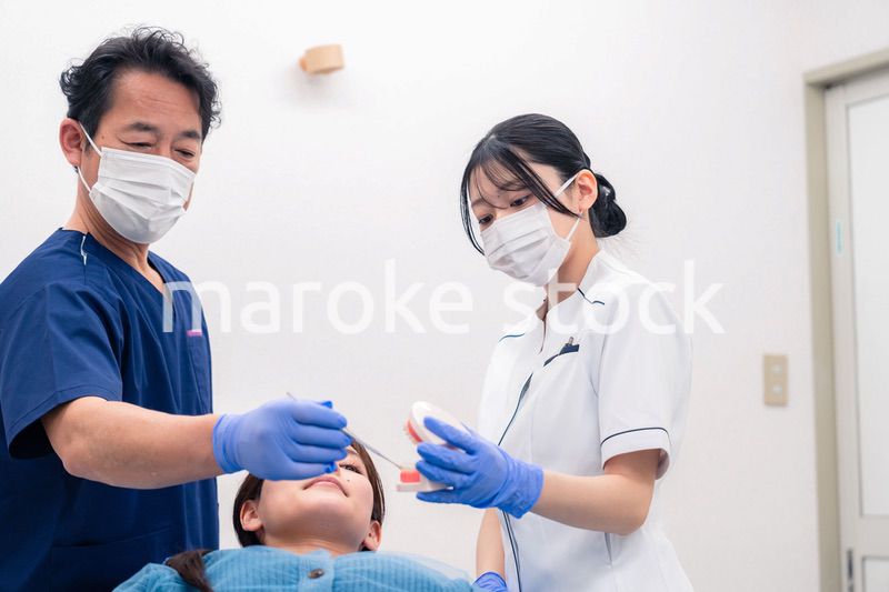 模型を使って患者に治療方針を説明する歯医者さん