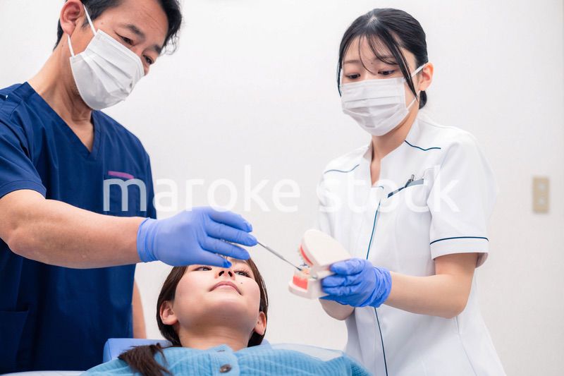 模型を使って患者に治療方針を説明する歯医者さん