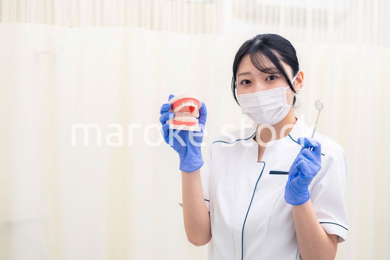 歯の模型を持つ歯科衛生士の女性