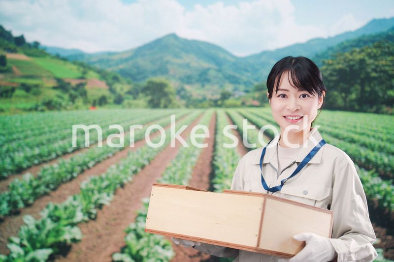 箱を運搬する農家の若い女性