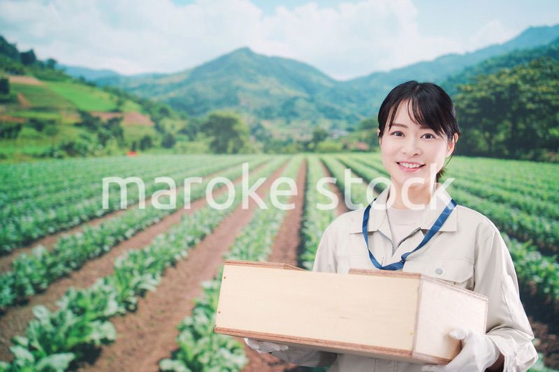 箱を運搬する農家の若い女性