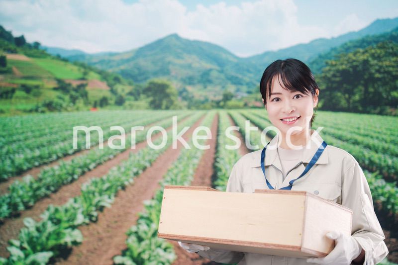 箱を運搬する農家の若い女性