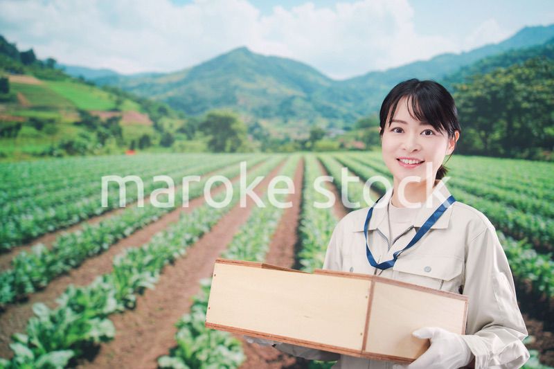 箱を運搬する農家の若い女性
