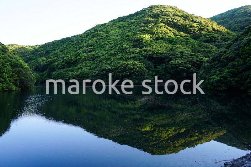 ダム・水源イメージ