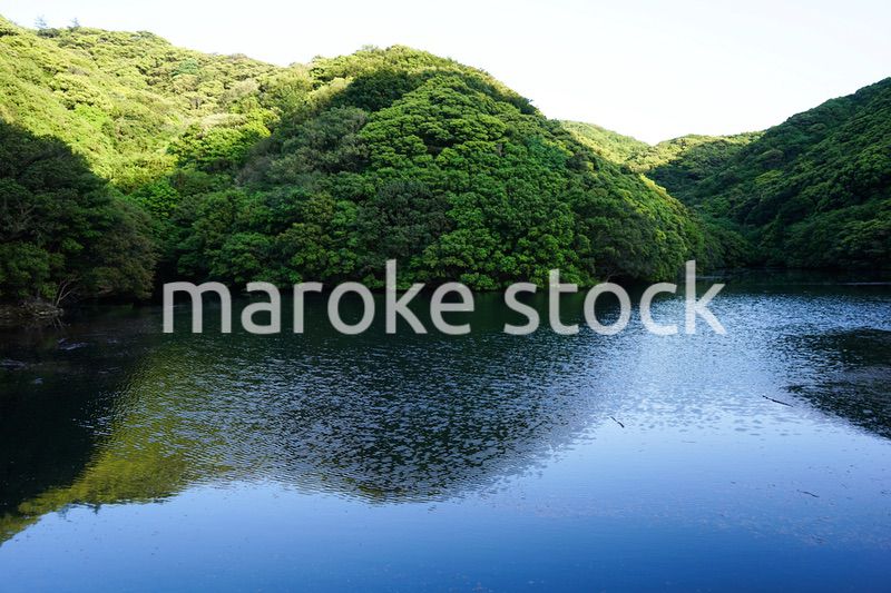 ダム・水源イメージ