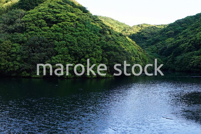 ダム・水源イメージ