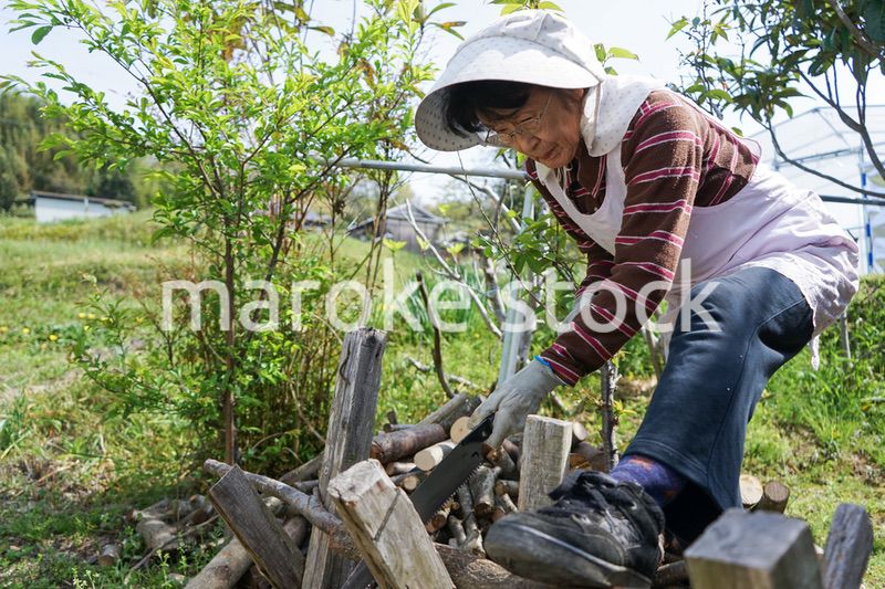 薪割りをするシニア