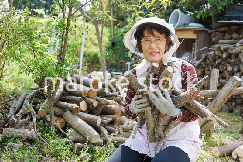 薪割りをするシニア