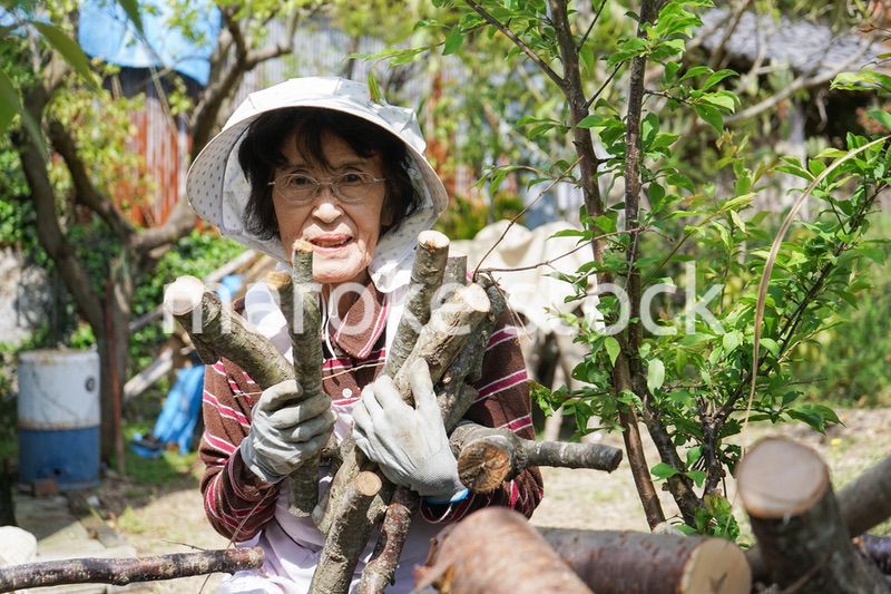 薪割りをするシニア