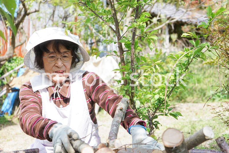 薪割りをするシニア