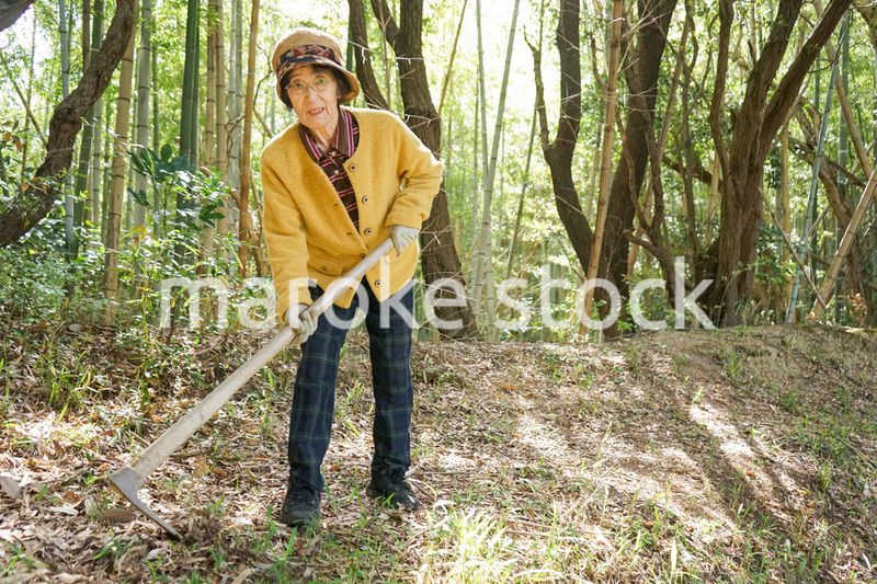 タケノコ刈りをする高齢の女性