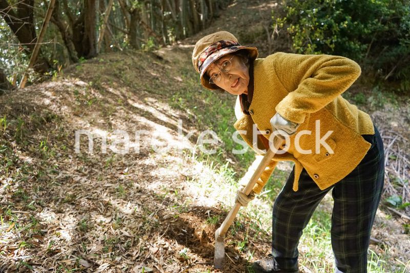 タケノコ刈りをする高齢の女性
