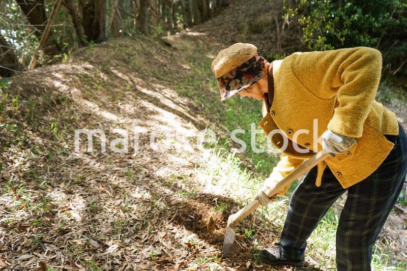 タケノコ刈りをする高齢の女性