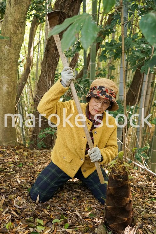 タケノコ刈りをする高齢の女性