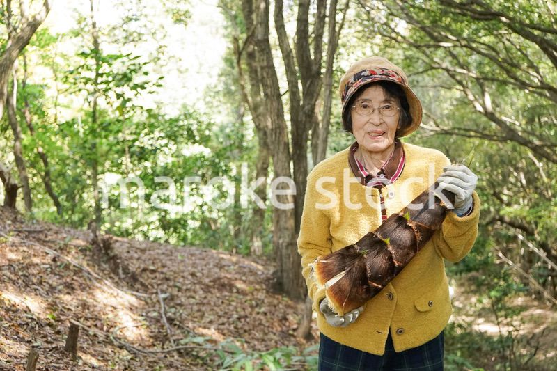 タケノコ刈りをする高齢の女性