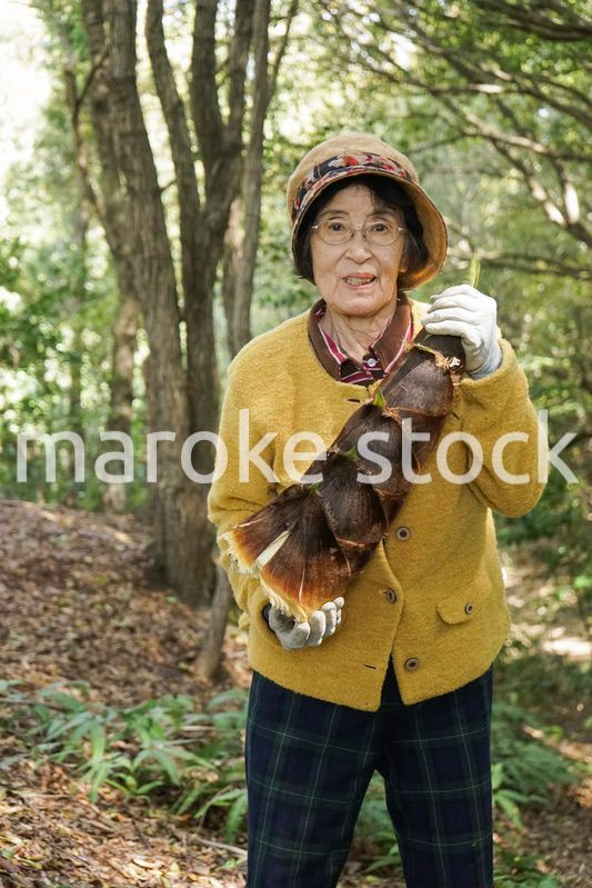 タケノコ刈りをする高齢の女性