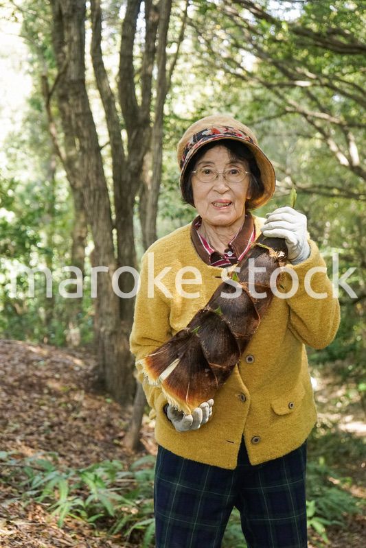 タケノコ刈りをする高齢の女性