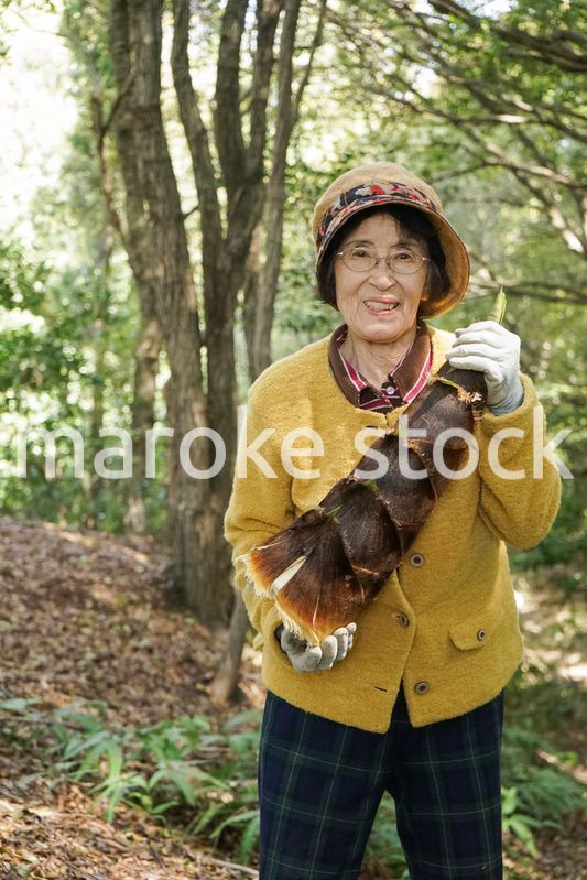タケノコ刈りをする高齢の女性