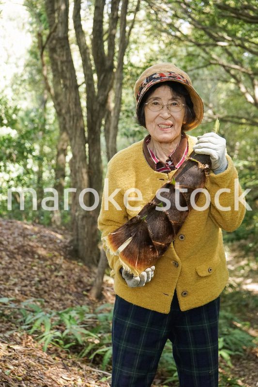 タケノコ刈りをする高齢の女性