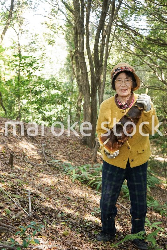 タケノコ刈りをする高齢の女性
