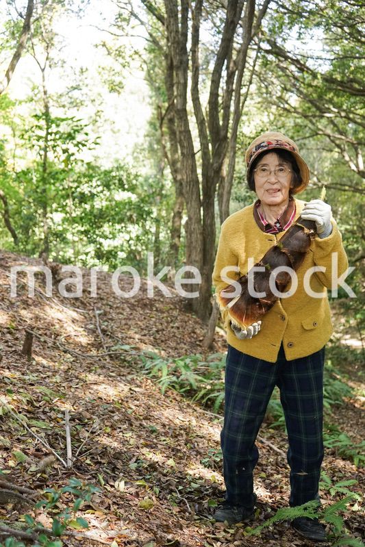 タケノコ刈りをする高齢の女性