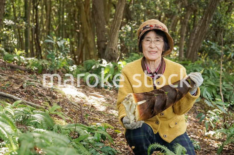 タケノコ刈りをする高齢の女性
