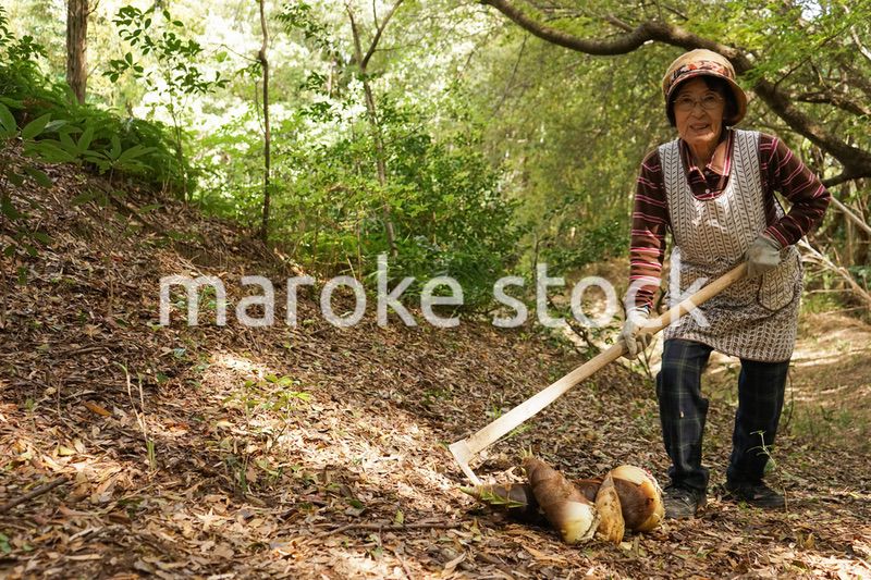 タケノコ刈りをする高齢の女性