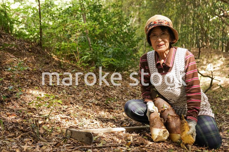 タケノコ刈りをする高齢の女性
