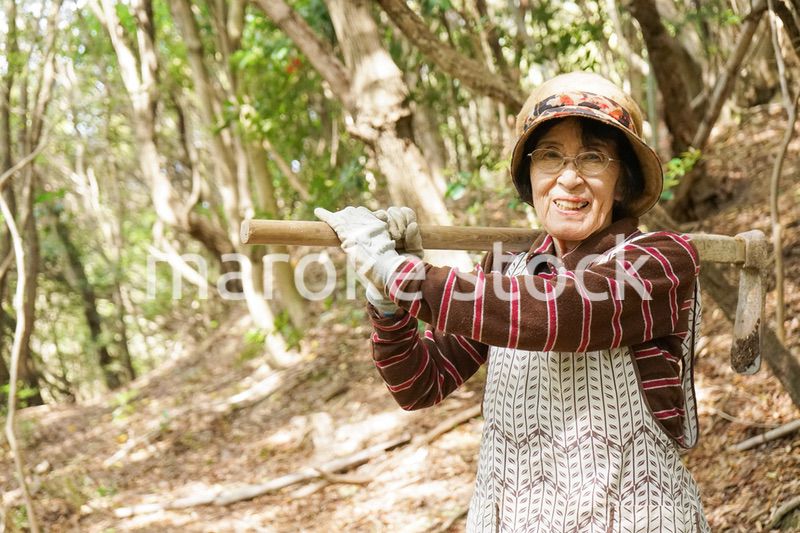 タケノコ刈りをする高齢の女性