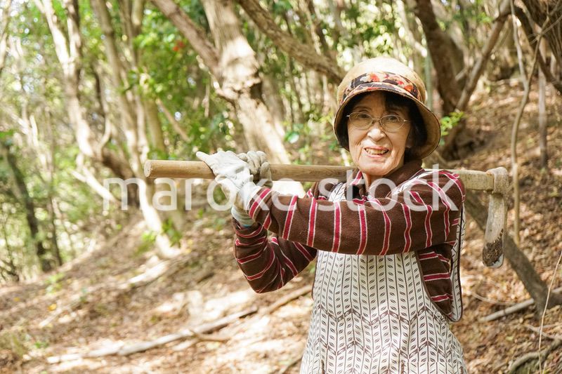 タケノコ刈りをする高齢の女性